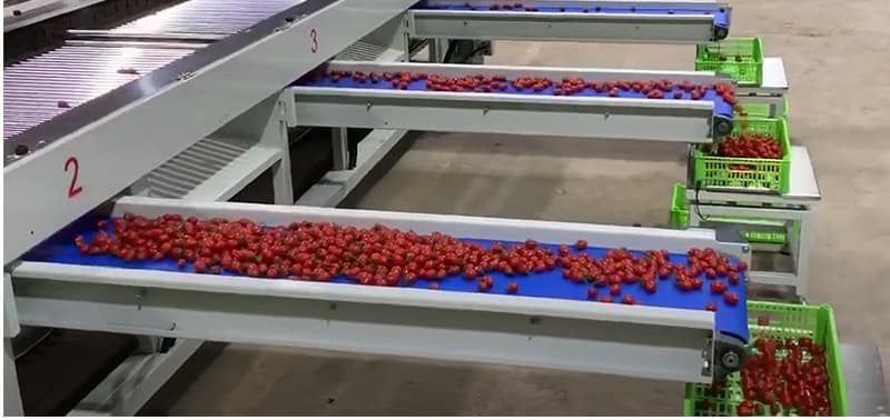 images/1650613109036packing system.jpg